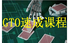 德州扑克GTO视频课程